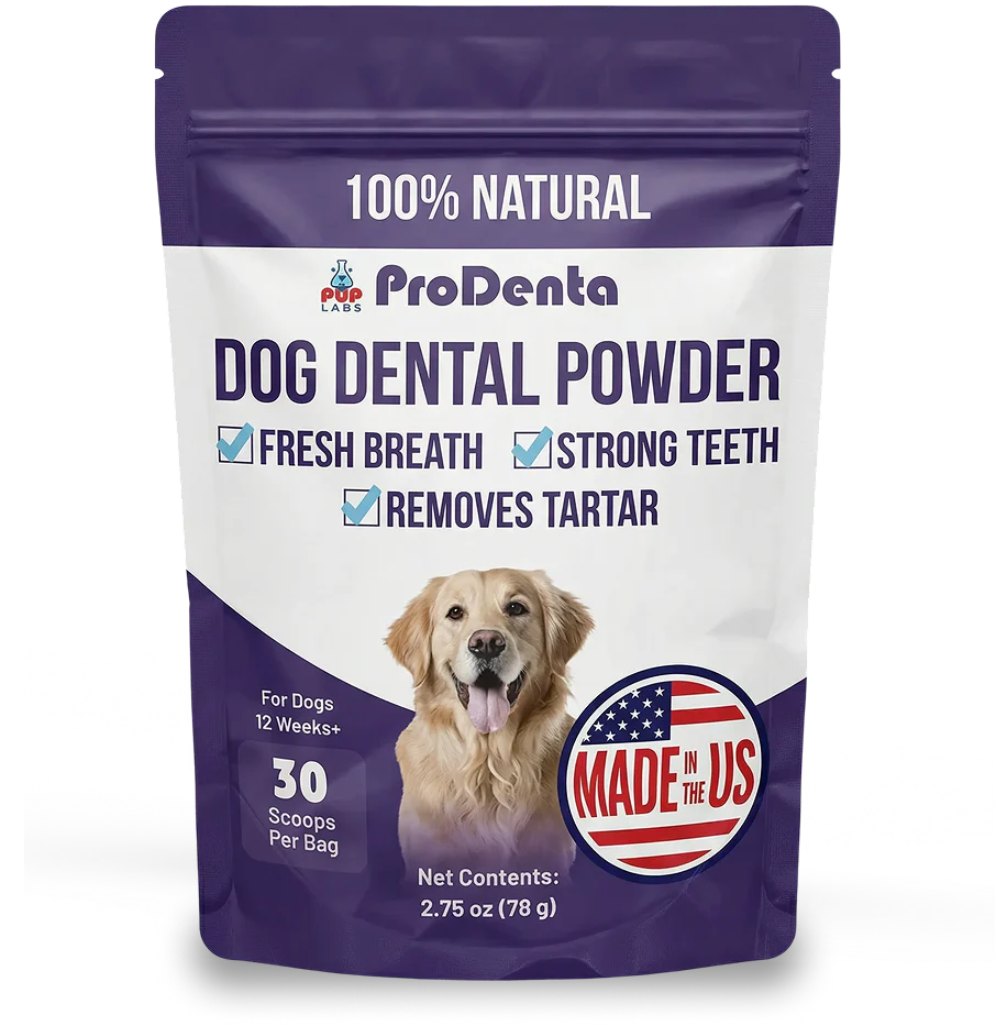 Dog Dental Health